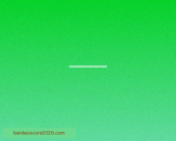 世界杯竞猜策略揭秘：提高胜率的实用投注技巧与分析方法